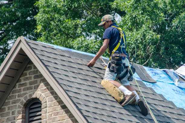 Best Gutter Installation and Roofing  in Brandon, MS